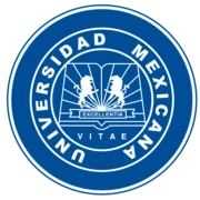 Mexican University brand identity