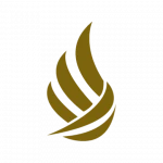 University of Valladolid Yucatan Logo
