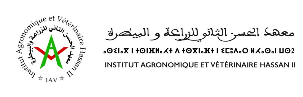 Students at Hassan II Institute of Agronomy and Veterinary Medicine
