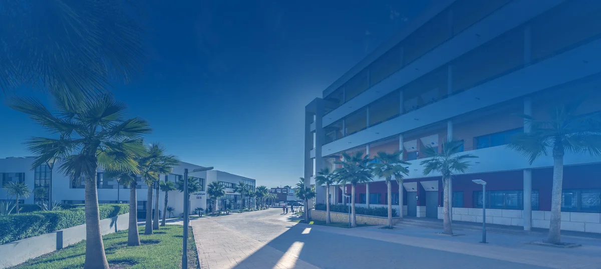 Université Ibn Zohr learning environment