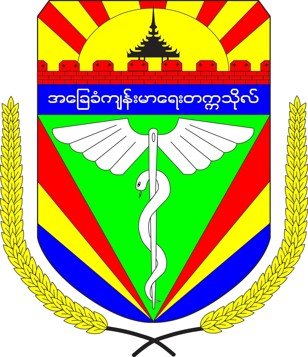 University of Community Health Magway community on campus