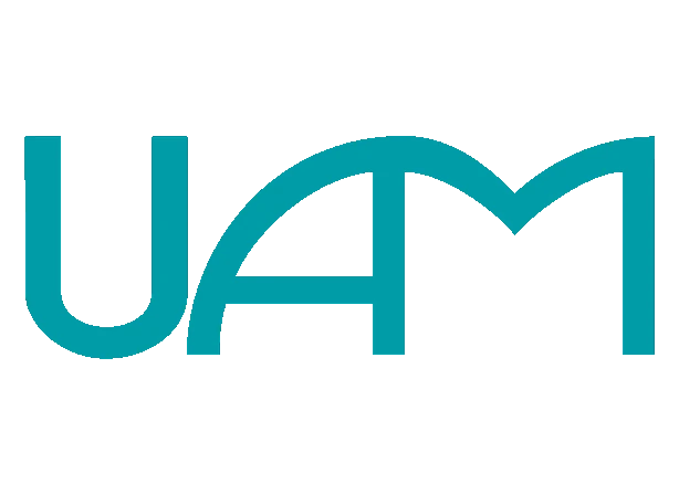 American University Logo