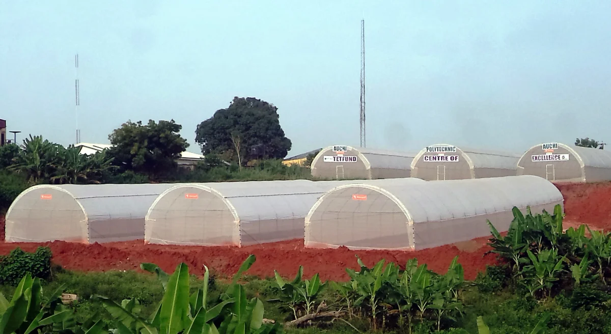 Auchi Polytechnic, Auchi institutional setting