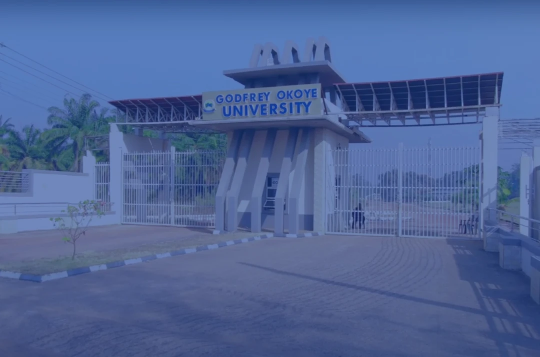 Godfrey Okoye University learning environment
