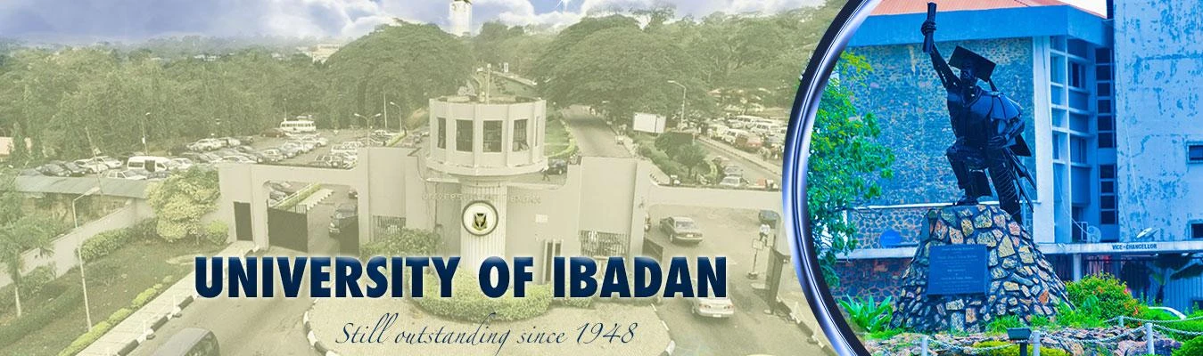 University of Ibadan institutional facilities