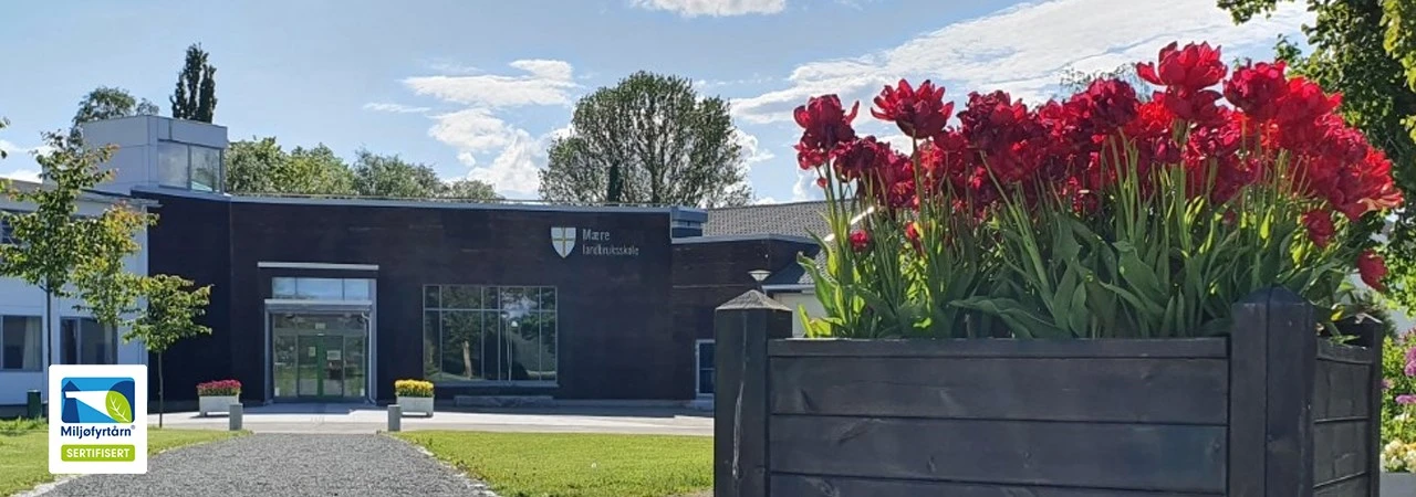 Around Mære Landbruksskole campus