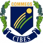 Commecs Institute of Business and Emerging Sciences Logo