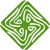 Federal Urdu University of Arts, Science and Technology Logo