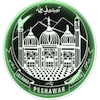 Islamia College University Logo