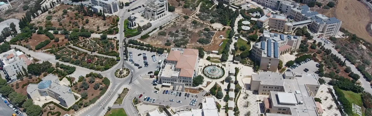 Inside Arab American University