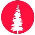 Esan University Logo