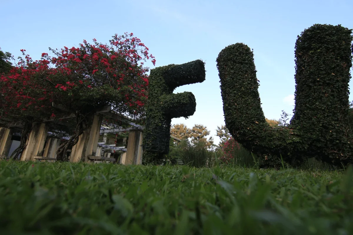 The Foundation University campus grounds