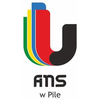 Akademia Nauk Stosowanych im. Stanislawa Staszica w Pile Logo