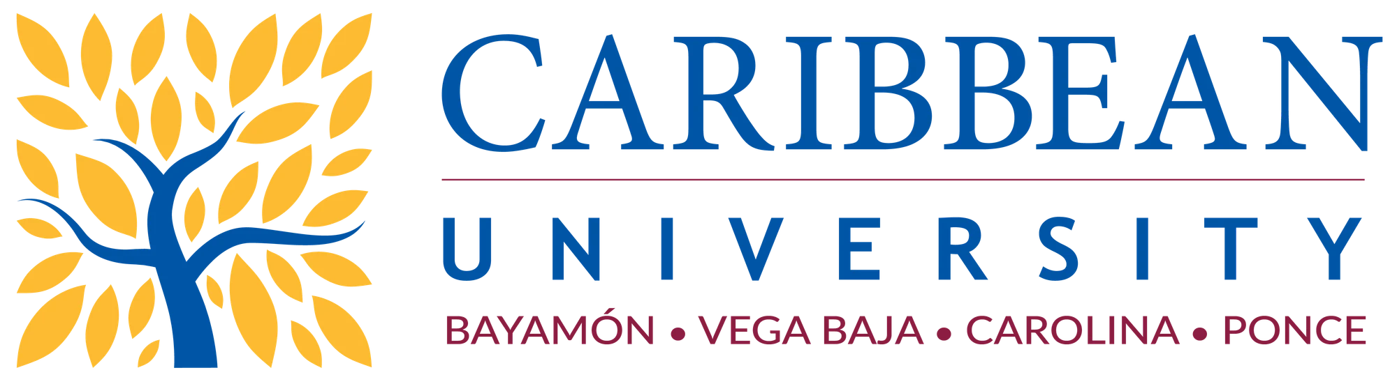 Caribbean University student life