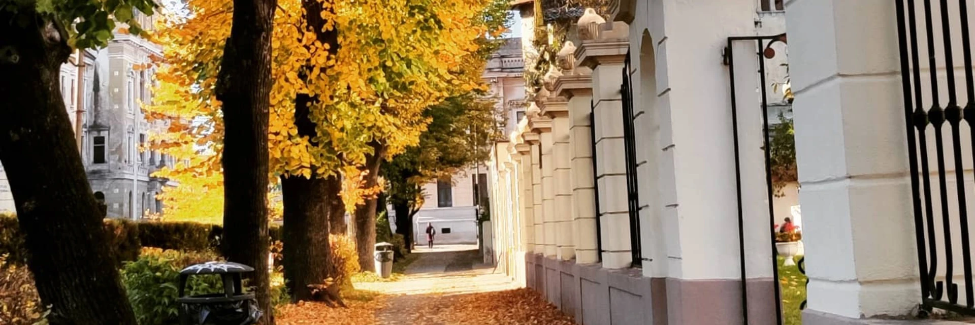 Lucian Blaga University of Sibiu academic and student spaces