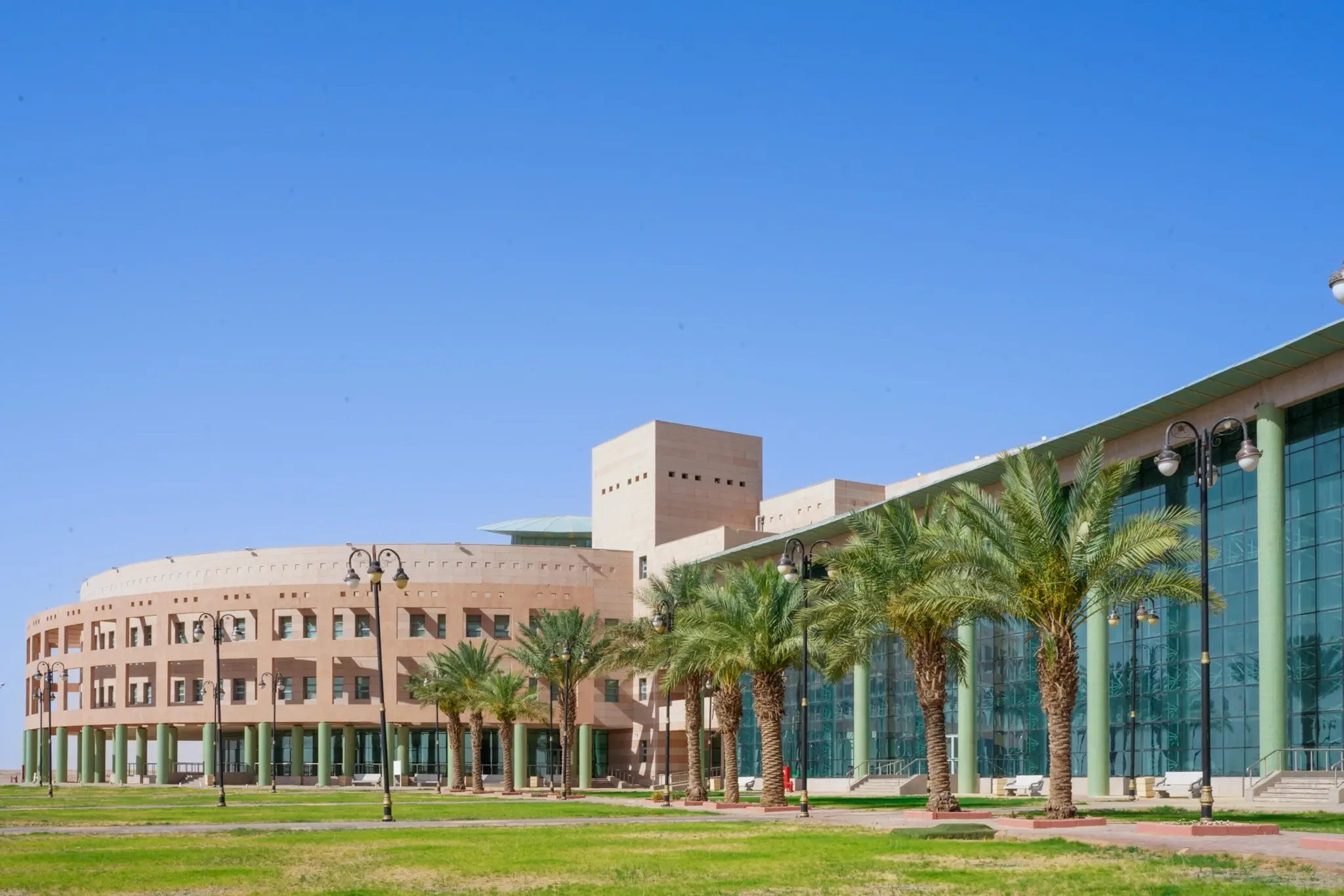 Students at Northern Border University