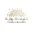 Vision Colleges Logo