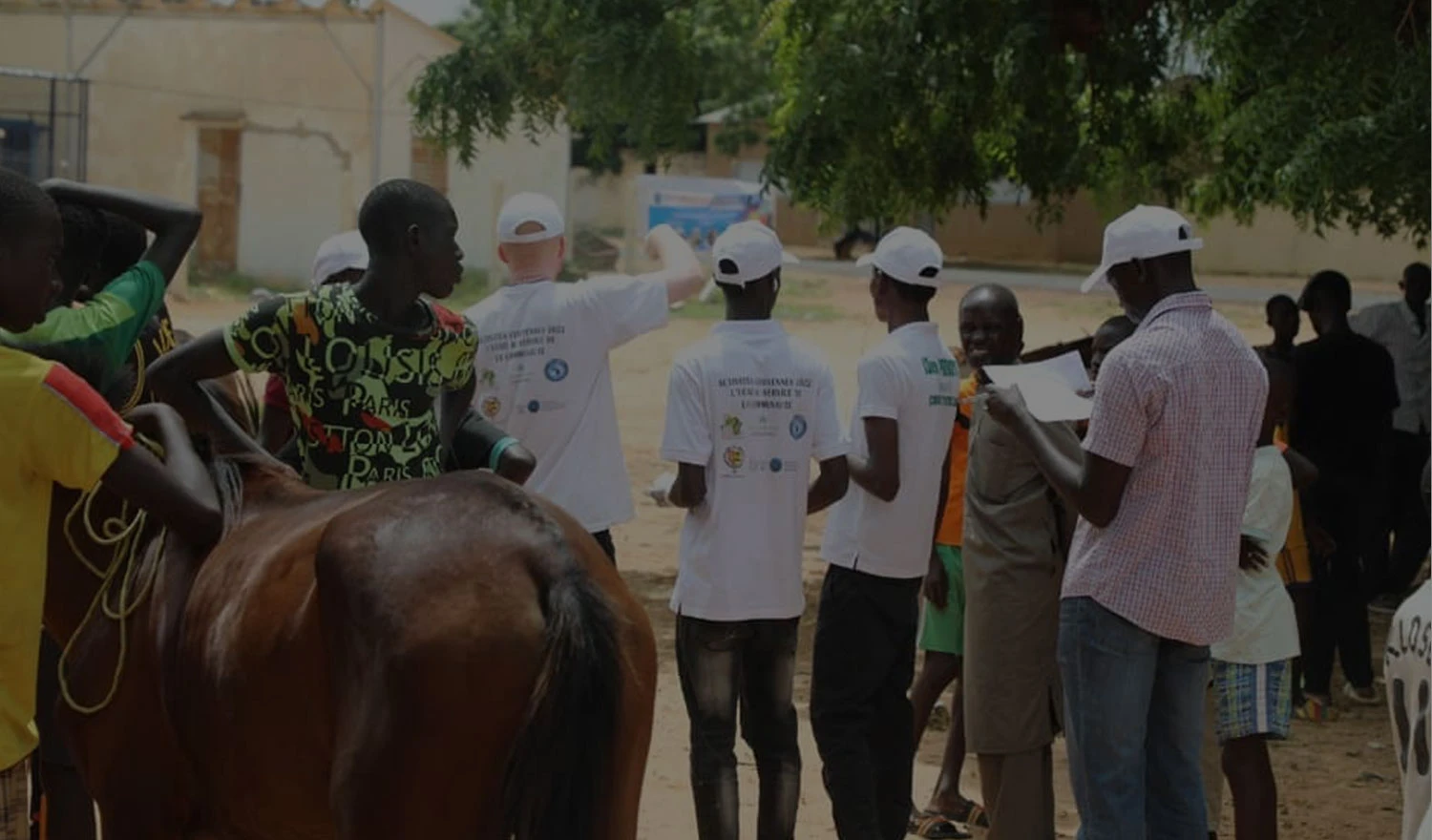 École Inter-États des Sciences et Médecine Vétérinaires de Dakar institutional grounds
