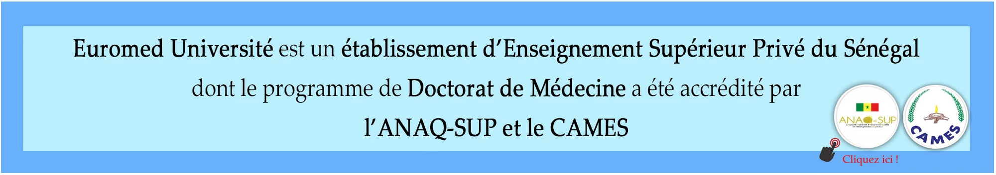 EUROMED University institutional setting