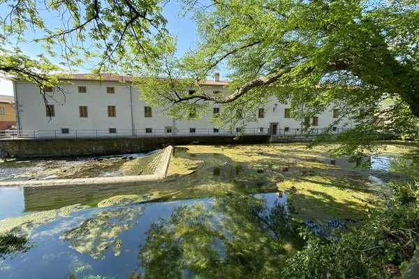 University of Nova Gorica community on campus