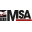 IIE MSA Logo