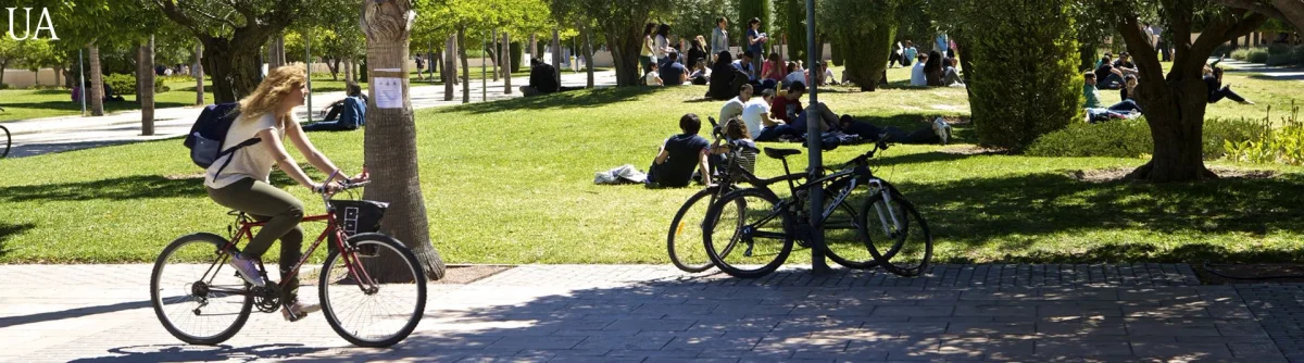 Universidad de Alicante community on campus