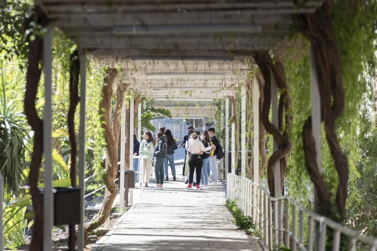 Daily life at Universidad de Murcia