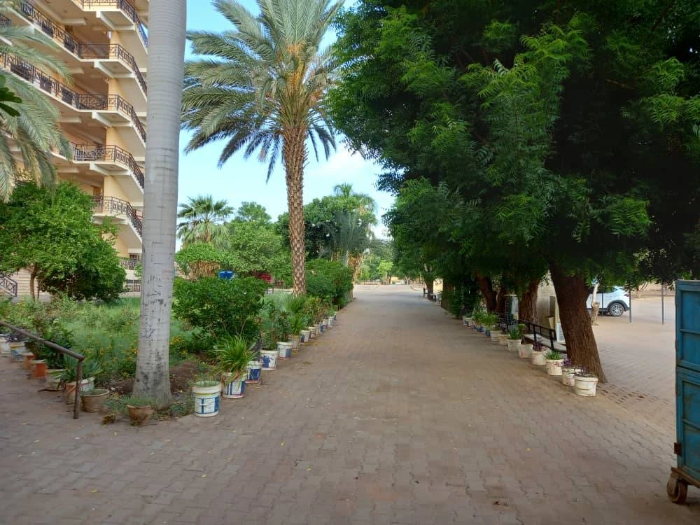 Elnasr Technical College student life