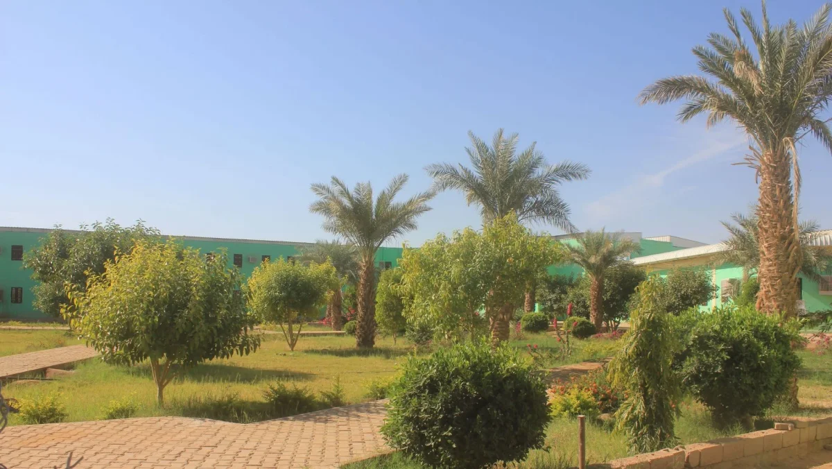 Daily life at Elsheikh Abdallah Elbadri University