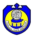 Sinnar University Logo