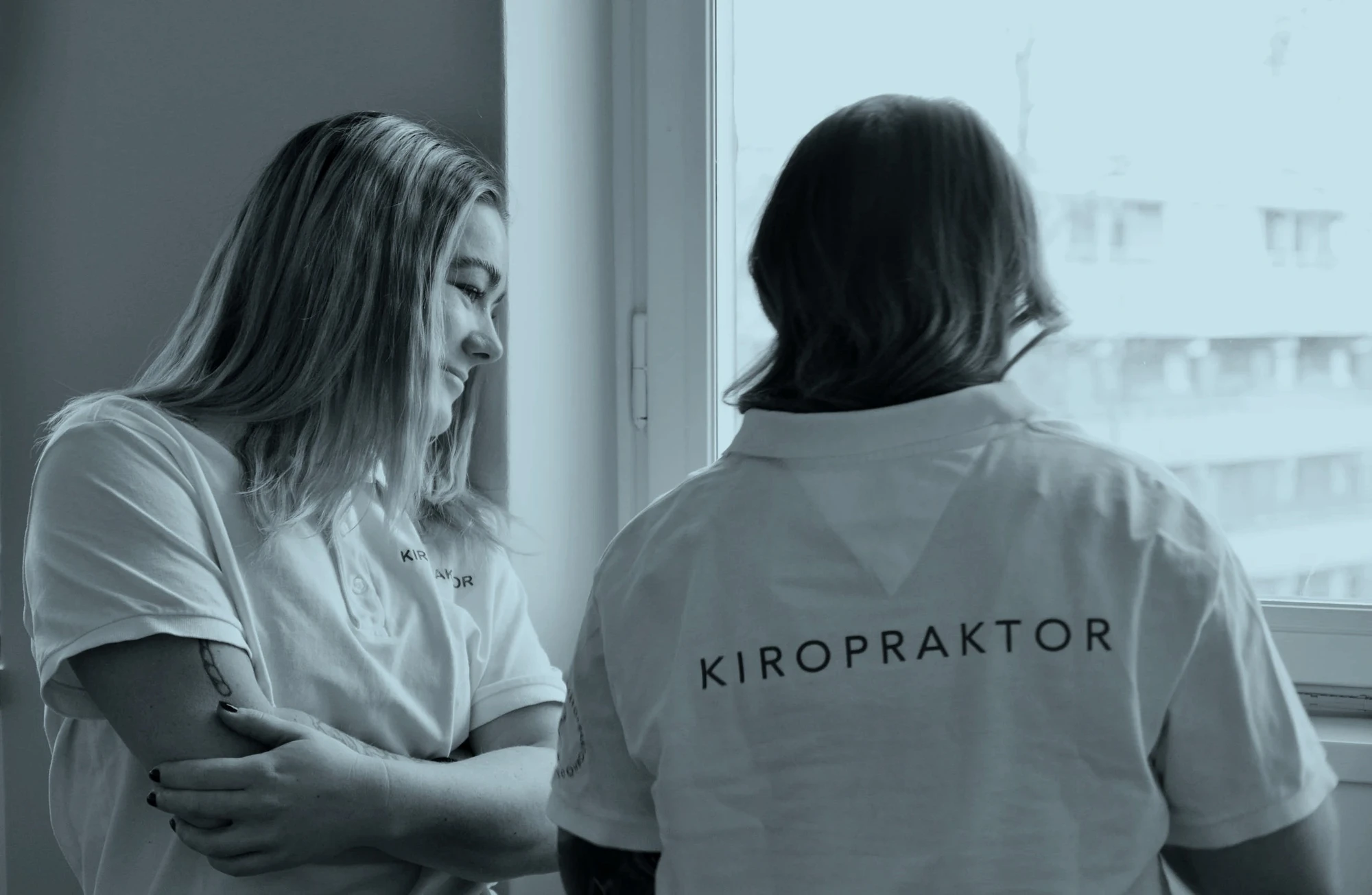 Skandinaviska Kiropraktorhögskolan learning environment