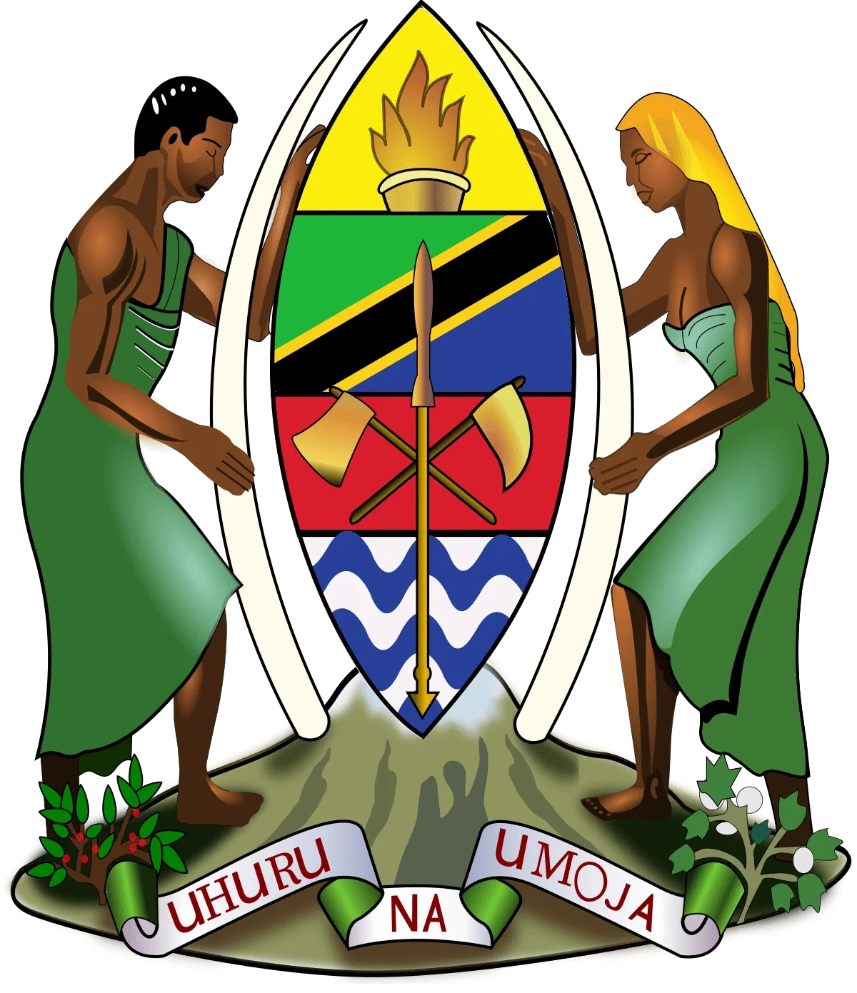 Around Tanzania Institute of Accountancy campus