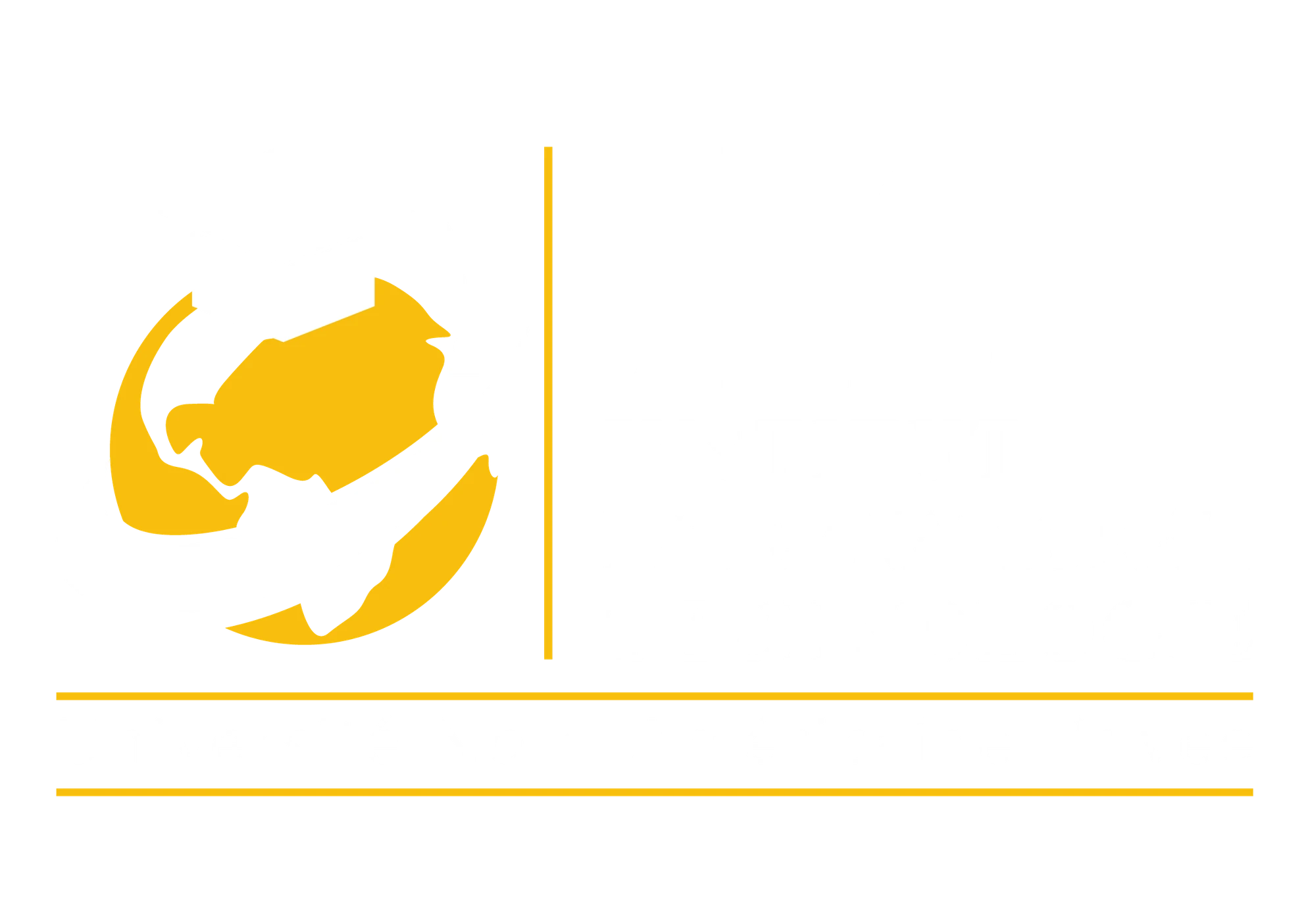 International Institute of Technology campus and surroundings
