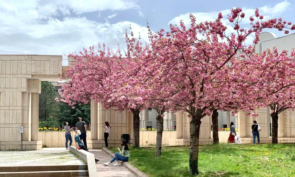 Inside Bilkent Üniversitesi