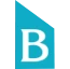 Biruni University Logo