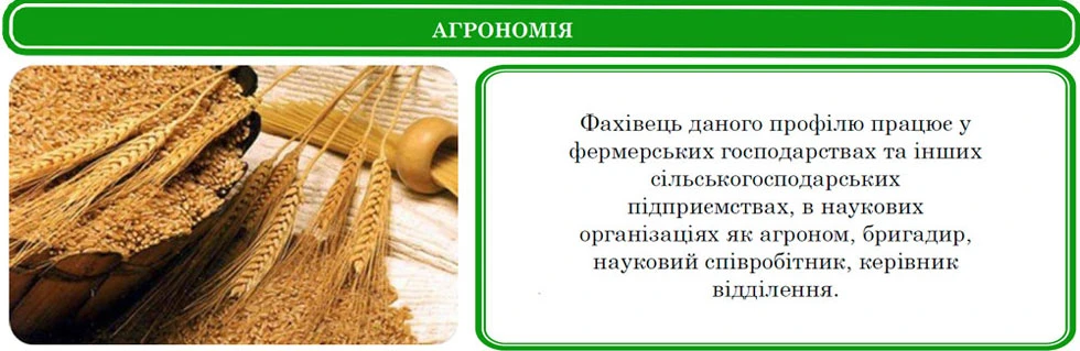Students at Kherson State Agrarian University