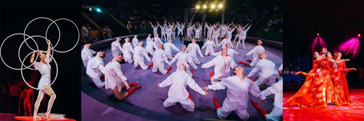 Kyiv Municipal Academy of Circus and Variety Arts academic and student spaces