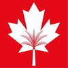 Canadian University of Dubai Logo