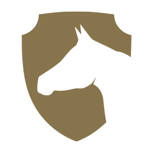 Rabdan Academy Logo
