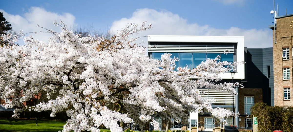 Bishop Grosseteste University academic and student spaces