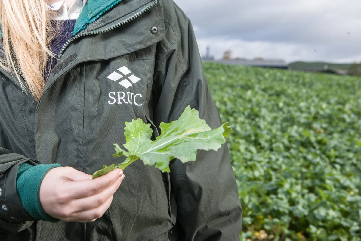 Approach to Scotland's Rural College campus
