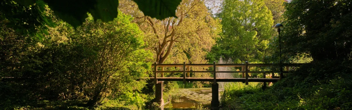 Around University of Cambridge campus