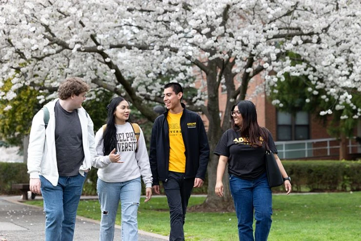 Adelphi University institutional grounds