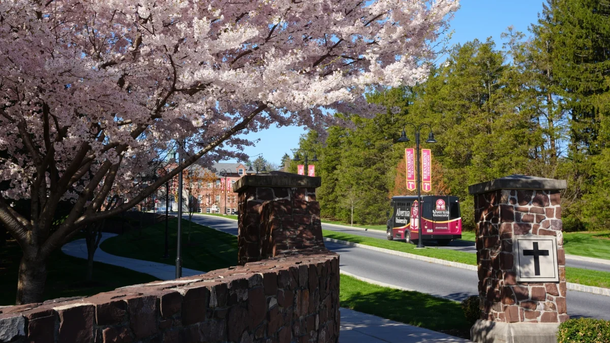 Alvernia University institutional facilities