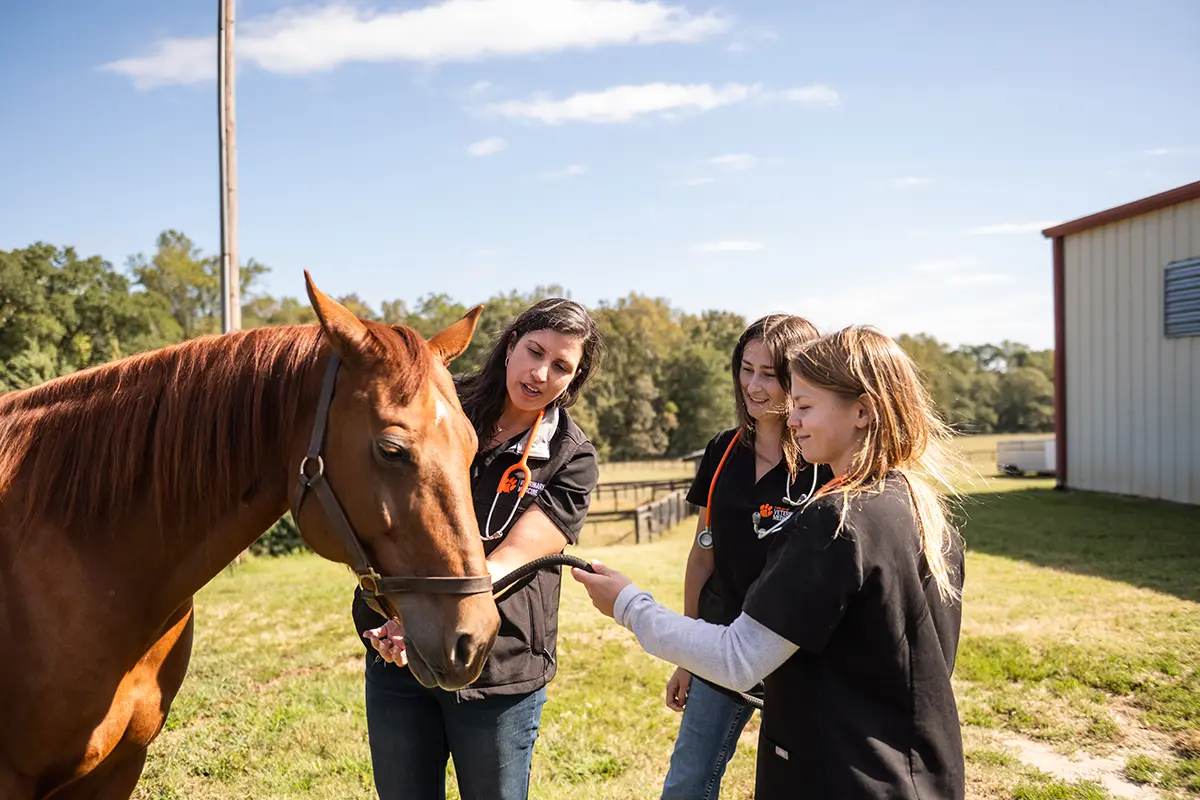 Clemson University student life