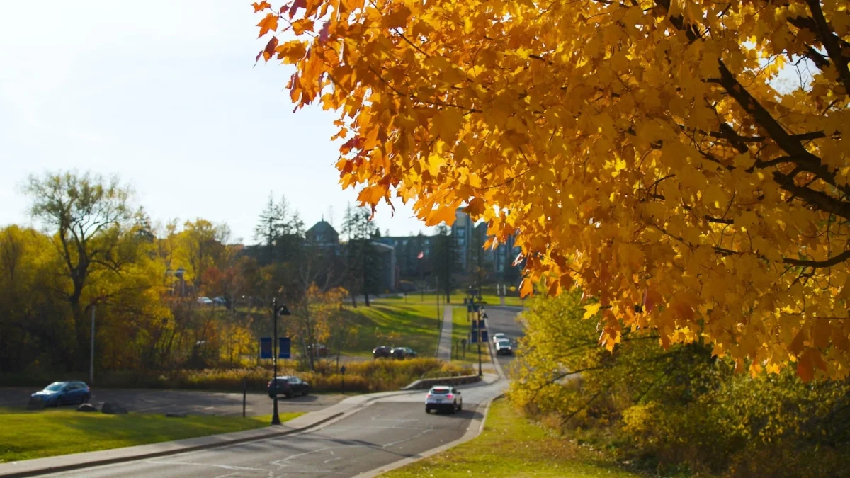 College of St. Scholastica student life