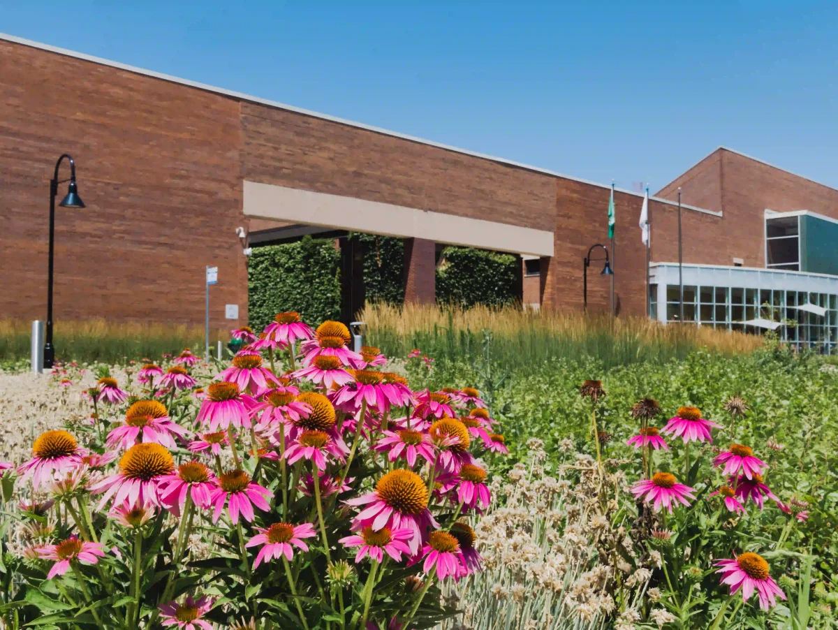 View of the Oakton College campus