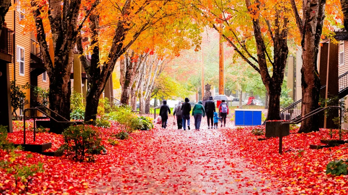 Pacific University student life