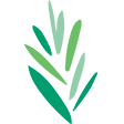 Reconstructionist Rabbinical College Logo