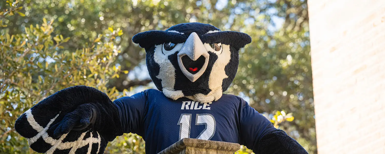 The Rice University campus grounds